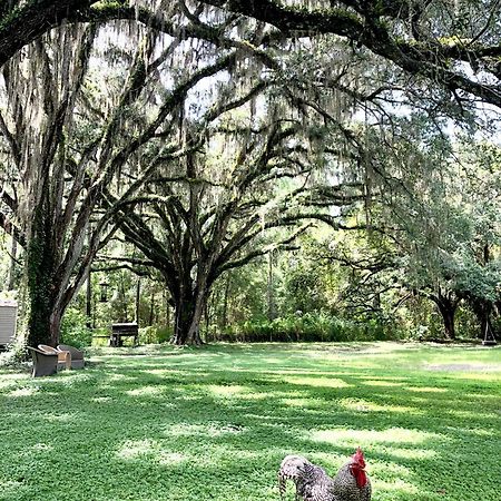 The Harmony Oaks Homestead Masaryktown Exterior foto