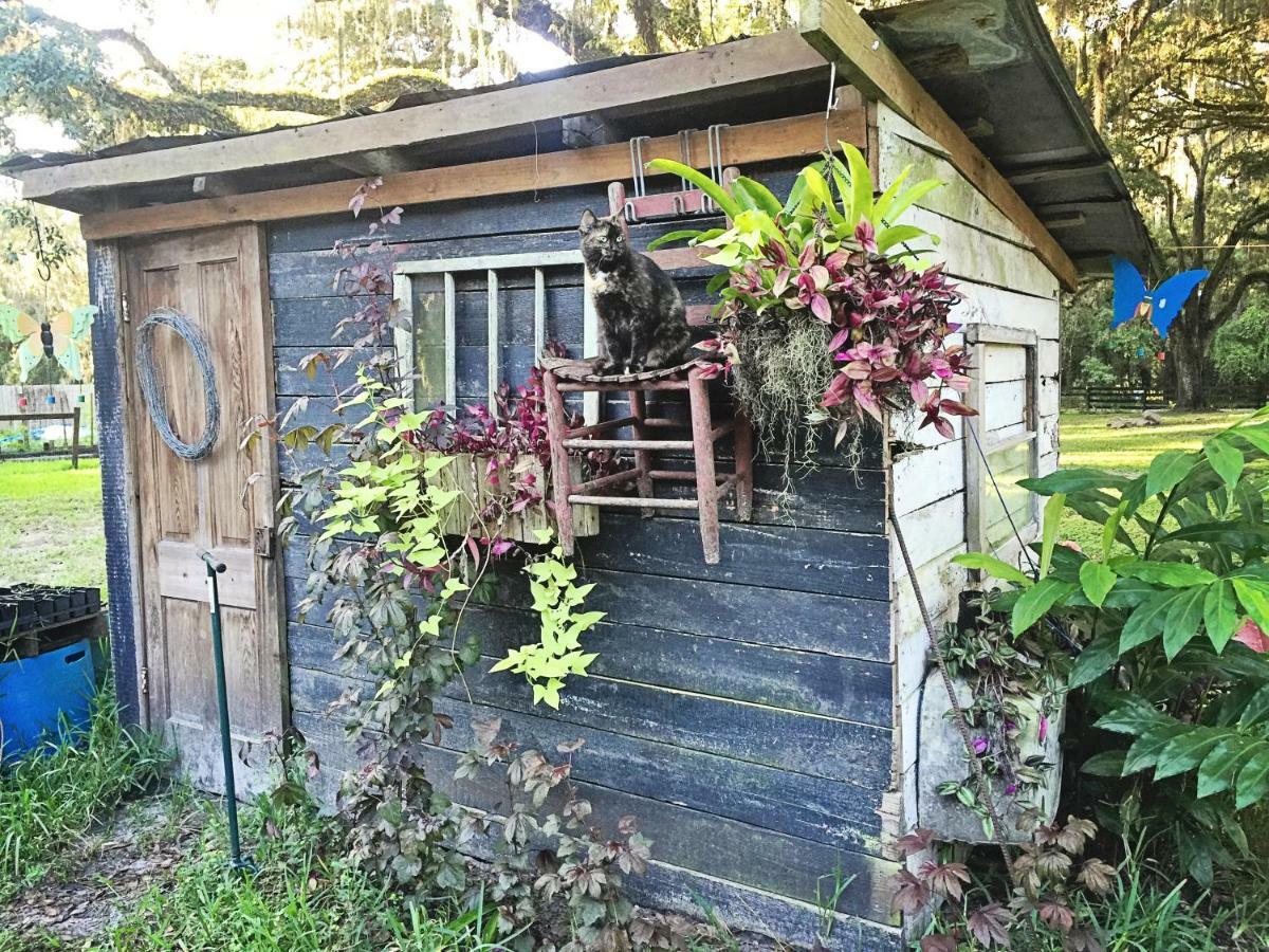 The Harmony Oaks Homestead Masaryktown Exterior foto